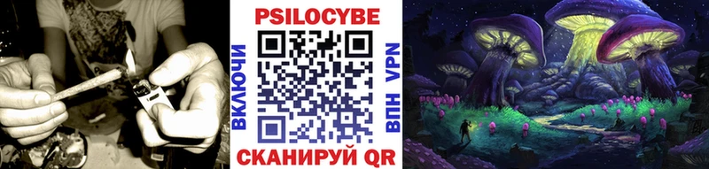 hydra ТОР  Отрадный  Псилоцибиновые грибы MAGIC MUSHROOMS 